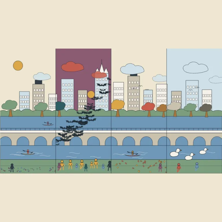 Best Time to Visit Austin