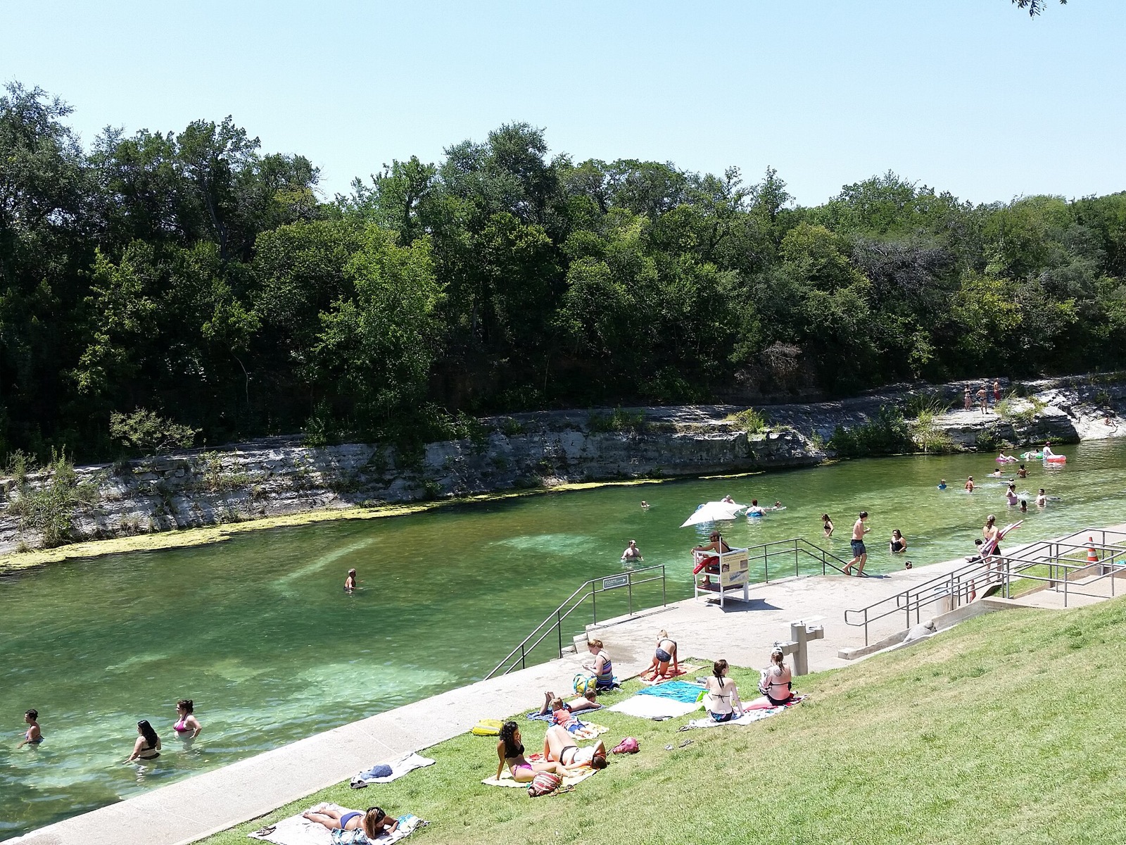 Swimmers in the long green spring-fed pool at Barton Springs in Zilker Park, Austin, with the grass banks alongside
